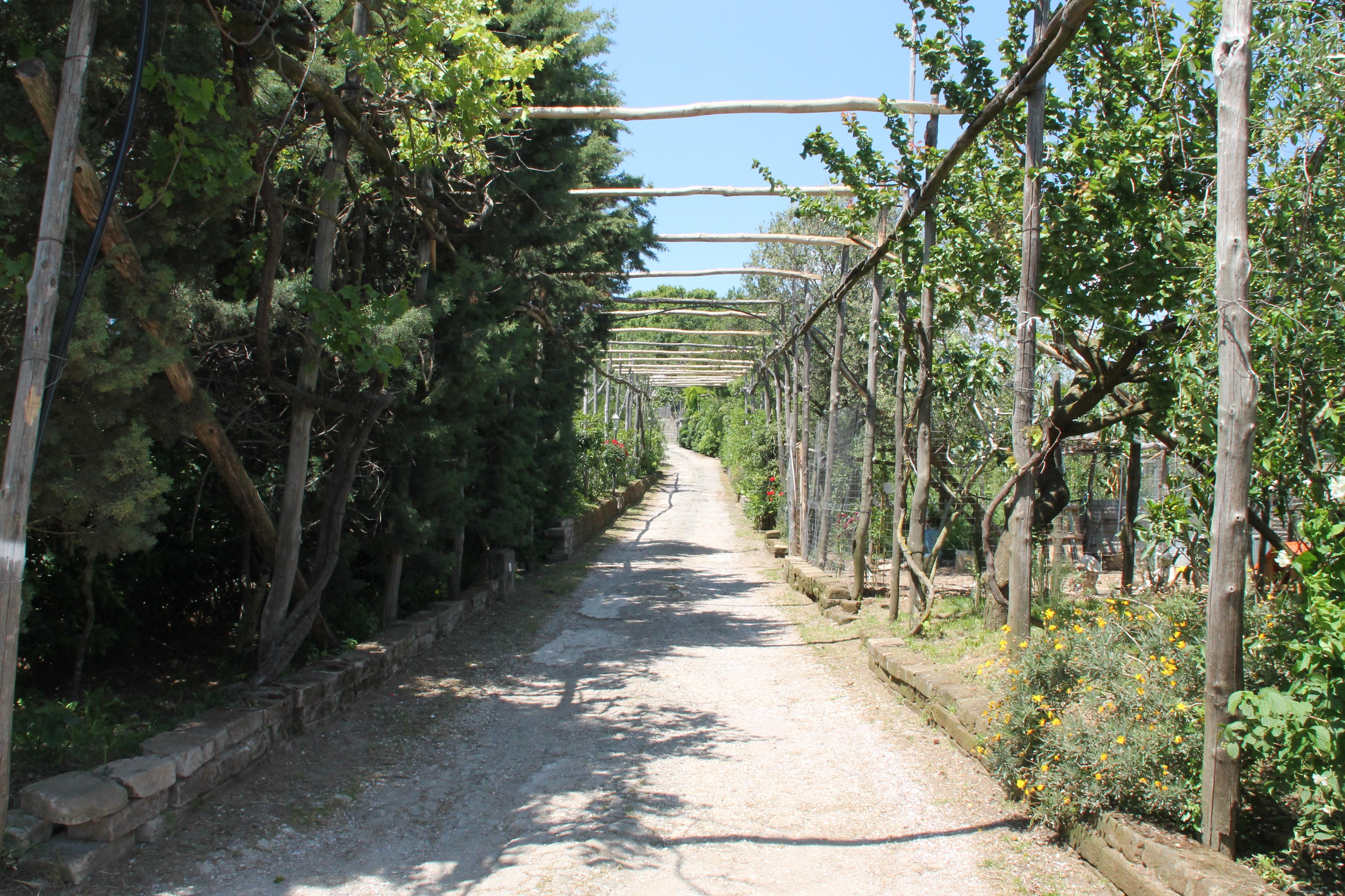 Agriturismo Piccolo Paradiso Piano di Sorrento Extérieur photo
