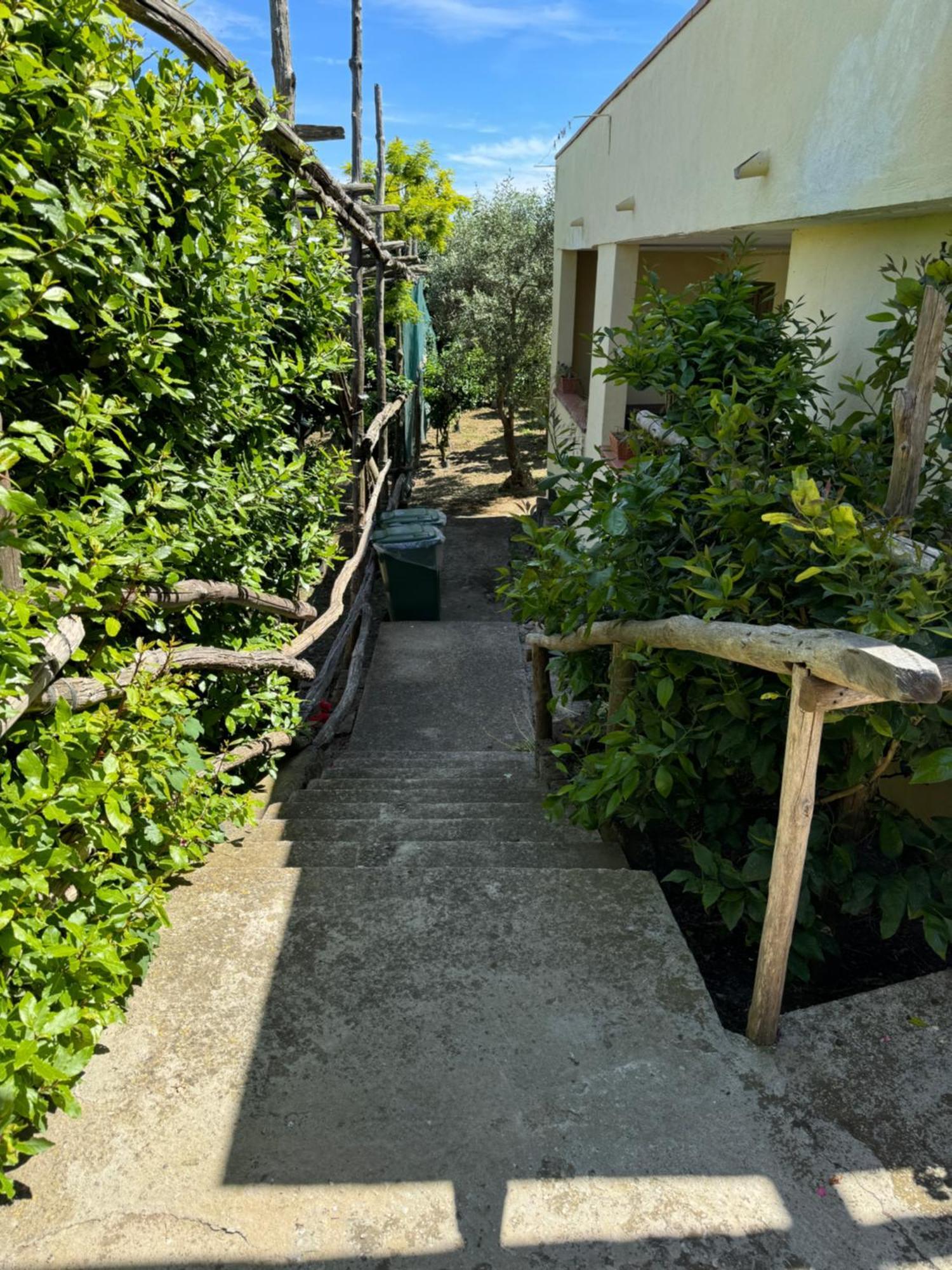 Agriturismo Piccolo Paradiso Piano di Sorrento Extérieur photo