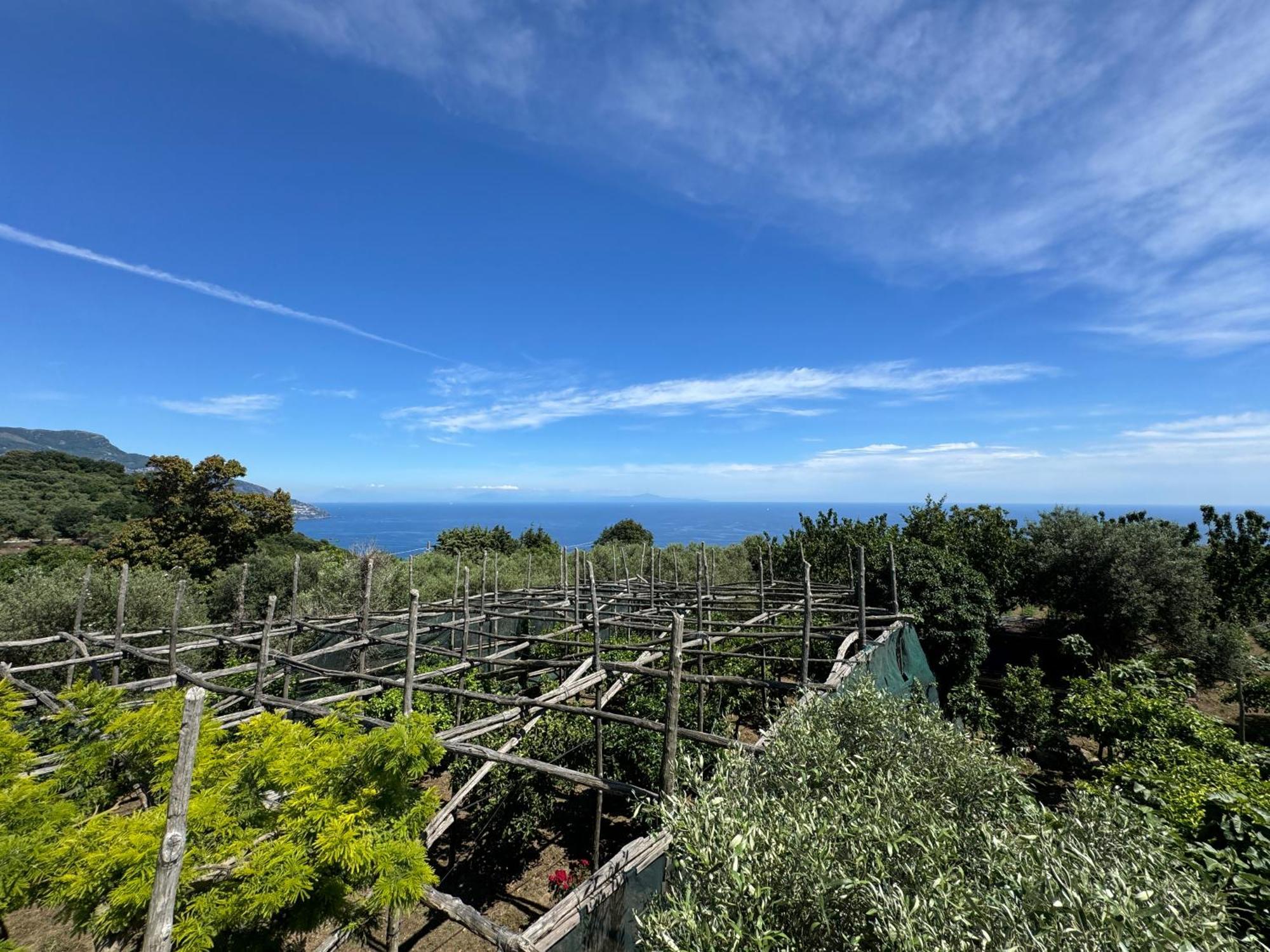 Agriturismo Piccolo Paradiso Piano di Sorrento Extérieur photo