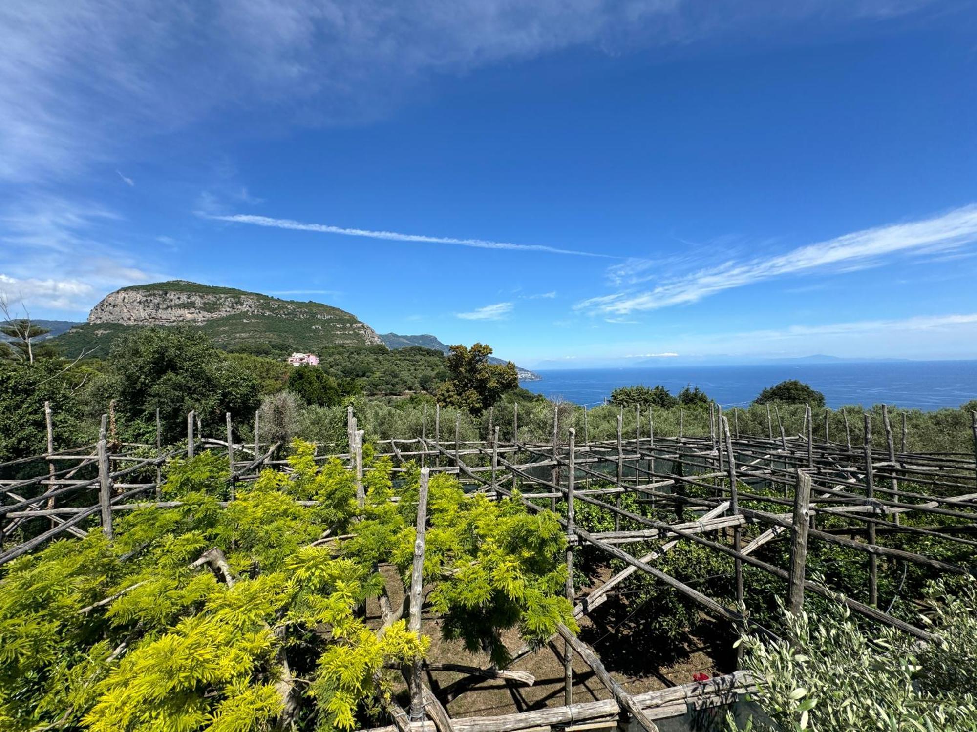 Agriturismo Piccolo Paradiso Piano di Sorrento Extérieur photo