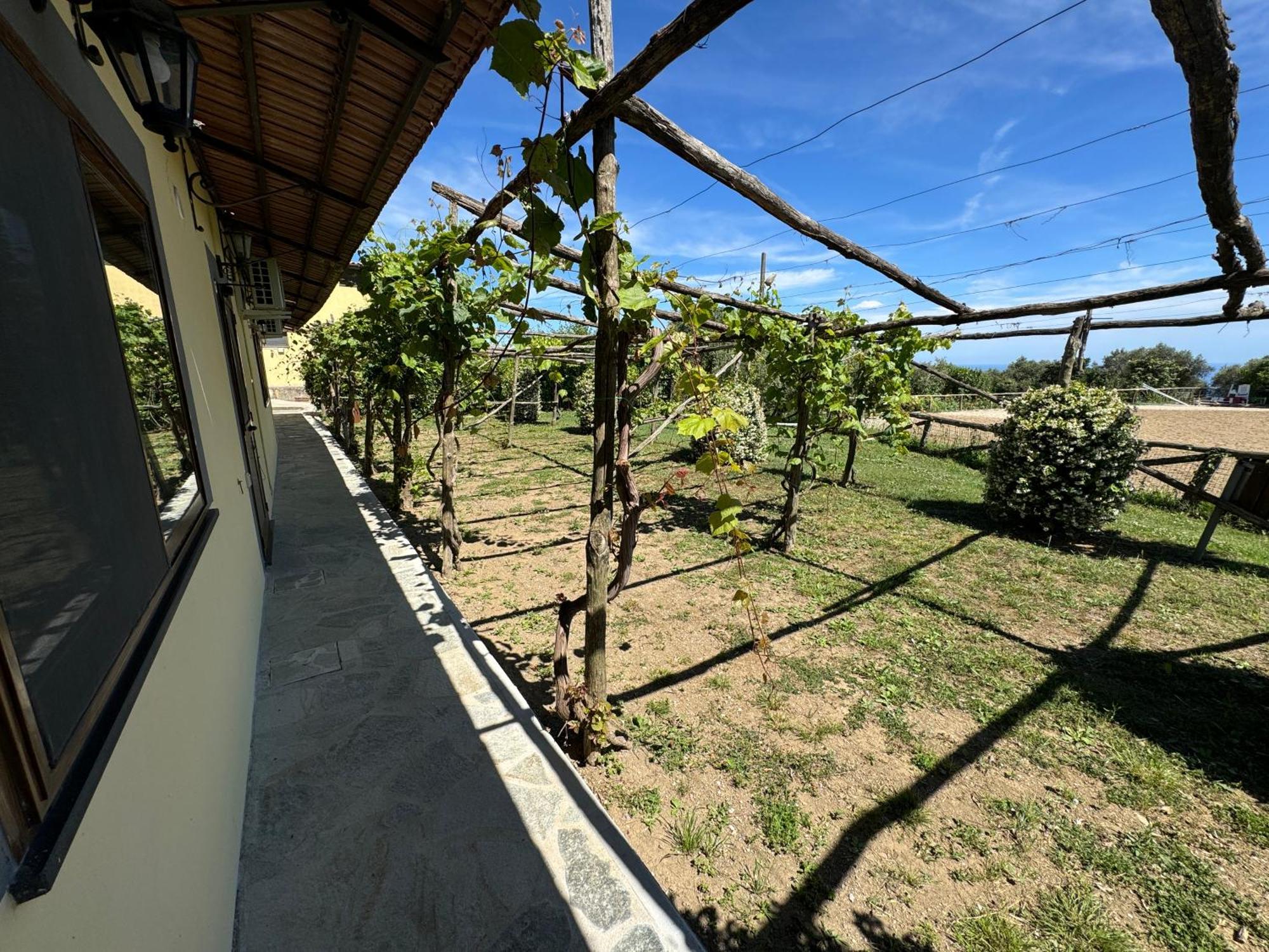 Agriturismo Piccolo Paradiso Piano di Sorrento Extérieur photo