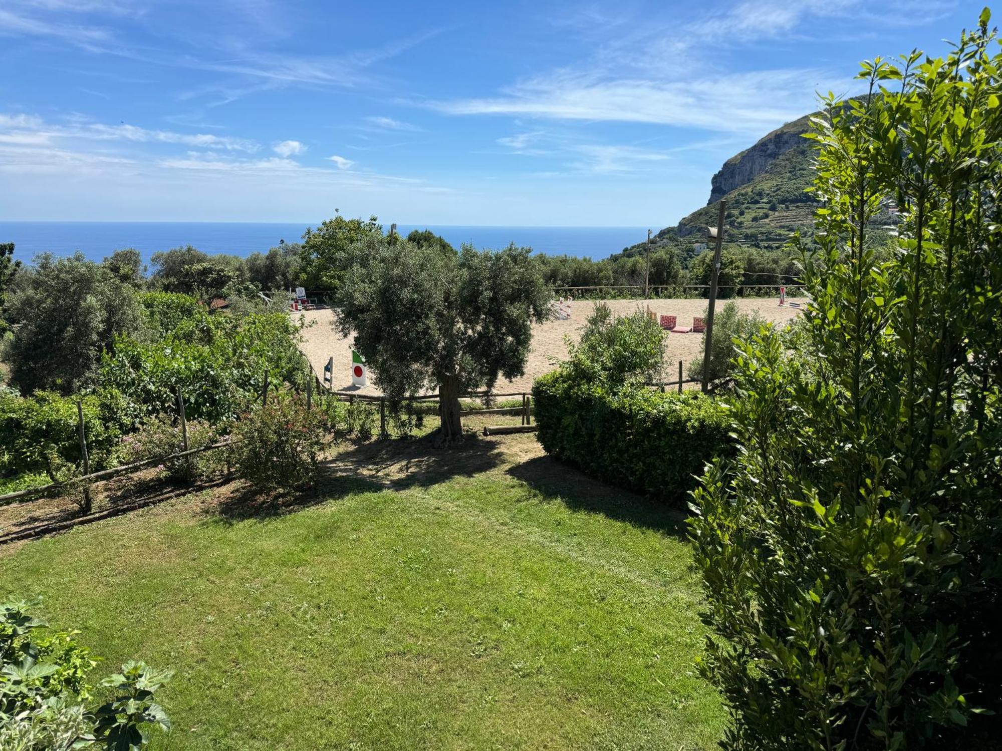 Agriturismo Piccolo Paradiso Piano di Sorrento Extérieur photo
