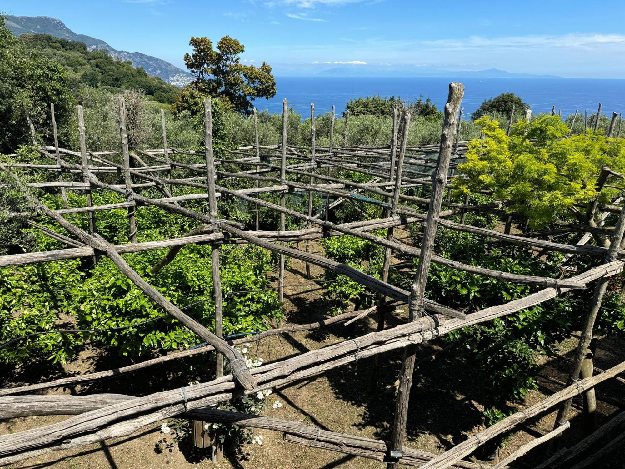Agriturismo Piccolo Paradiso Piano di Sorrento Extérieur photo