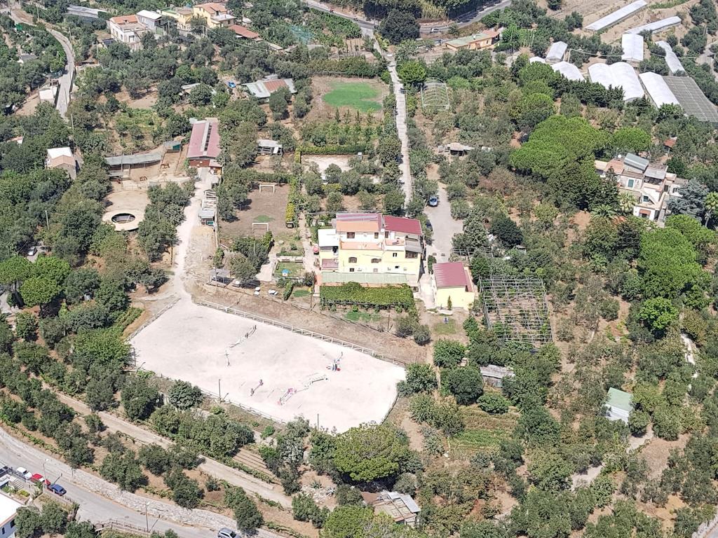 Agriturismo Piccolo Paradiso Piano di Sorrento Extérieur photo