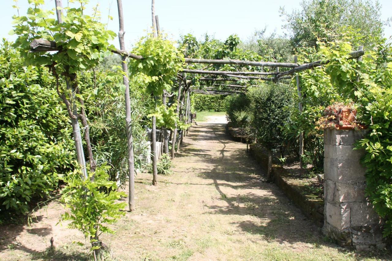 Agriturismo Piccolo Paradiso Piano di Sorrento Extérieur photo