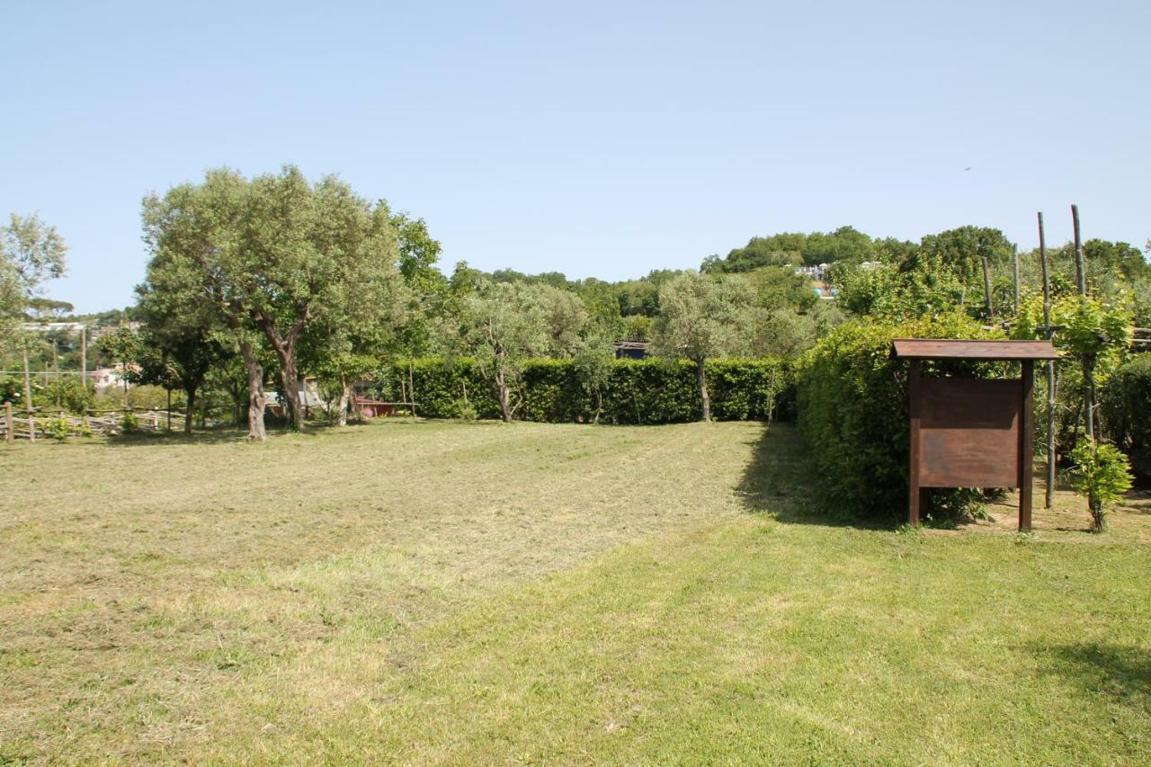 Agriturismo Piccolo Paradiso Piano di Sorrento Extérieur photo